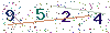 web code