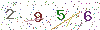web code