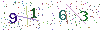 web code