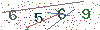 web code