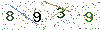 web code