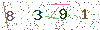 web code