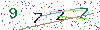 web code