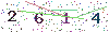 web code