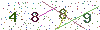 web code