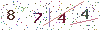 web code