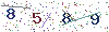 web code
