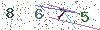 web code