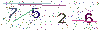 web code