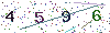 web code