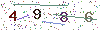 web code