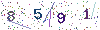 web code