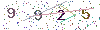 web code