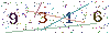 web code