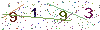 web code