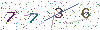 web code