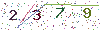 web code