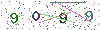 web code
