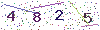 web code