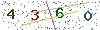 web code