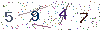 web code