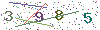 web code