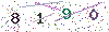 web code