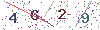 web code