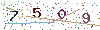 web code