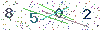 web code