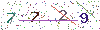 web code
