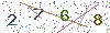 web code