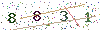 web code