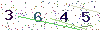web code