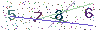 web code