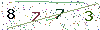 web code