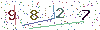 web code
