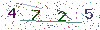 web code