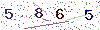 web code