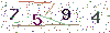 web code
