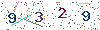 web code