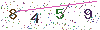 web code