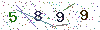 web code