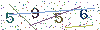 web code