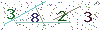 web code