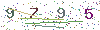 web code