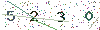web code