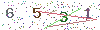 web code