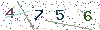 web code