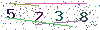web code